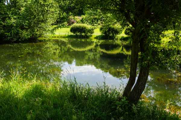 Schattenplätze in der Sommerhitze