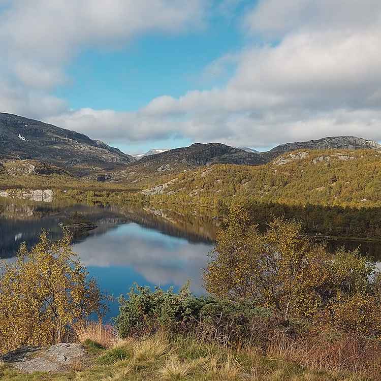 Panorama beim Haukelifjell in Norwegen