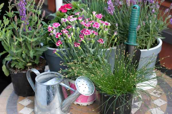 Gartenarbeit