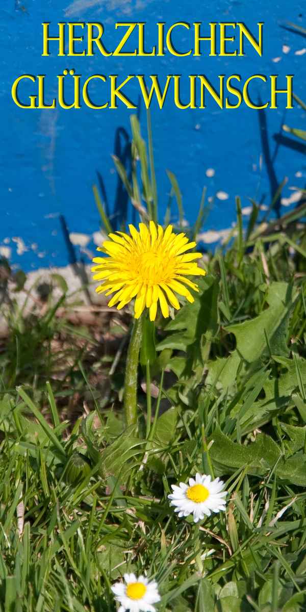 Herzlichen Glückwunsch