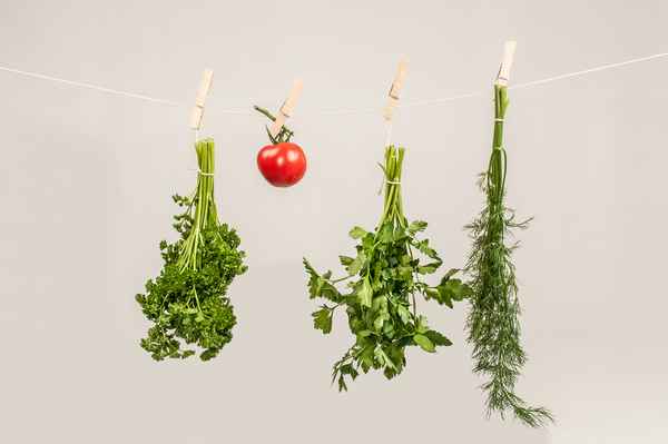 kräuter an der leine