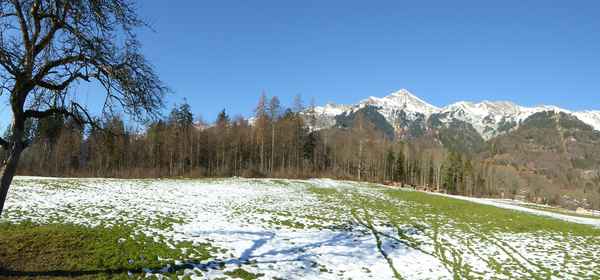 Berner Landschaft Nähe Brienz