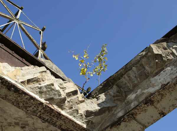 Ruine 4/6