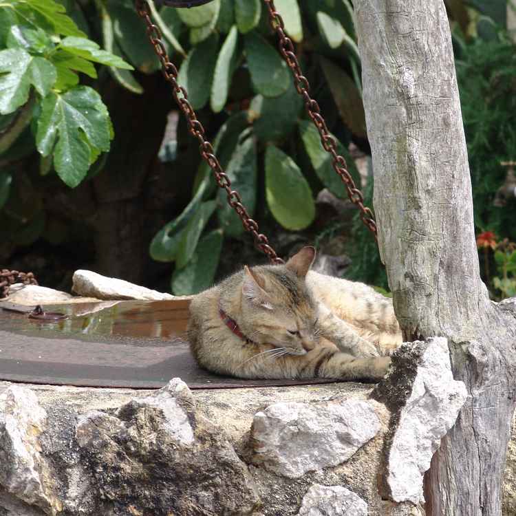 Entspannung auf dem Brunnen