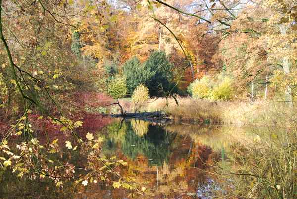 Spiegelung im See