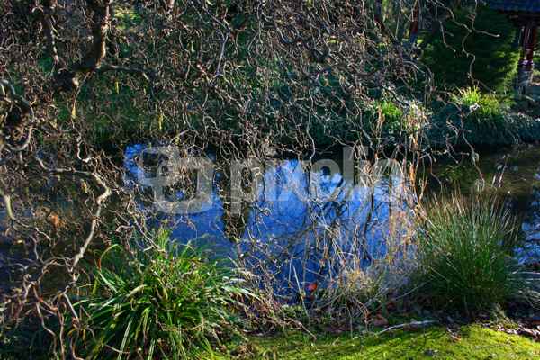 Wunder der Natur