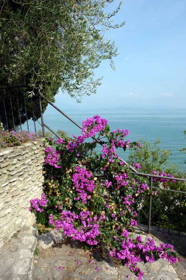 mediterrane Ecke