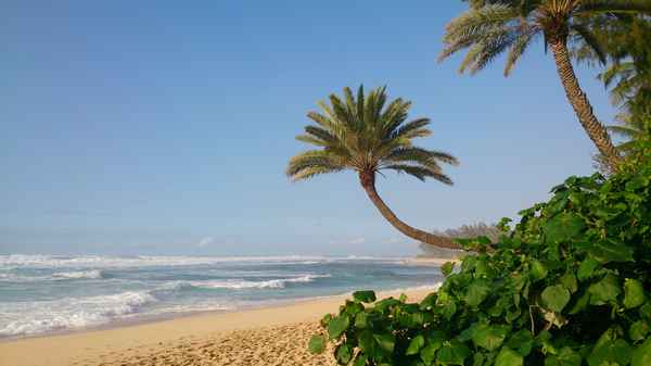 Strand auf Oahu - North Shore