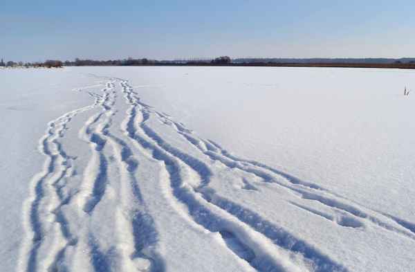 Spuren im Schnee