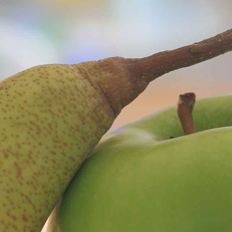 Birne und Apfel