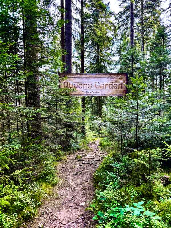 Queens-Garden MTB-Trail in Freudenstadt