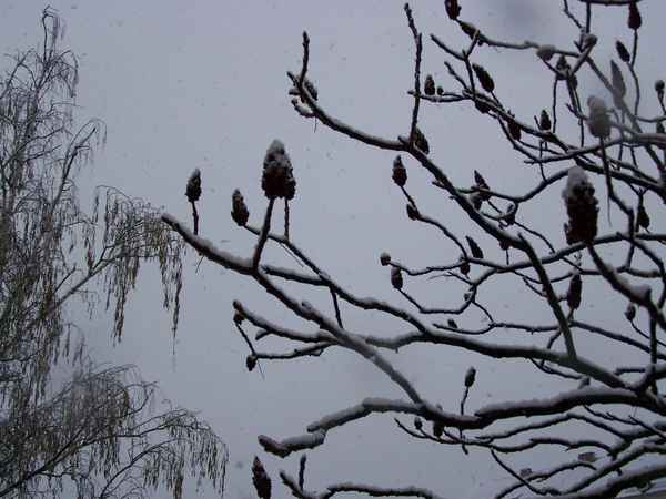 Es schneit