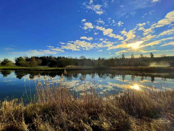 Herbstliches Biotop