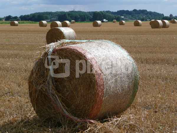 Stroh