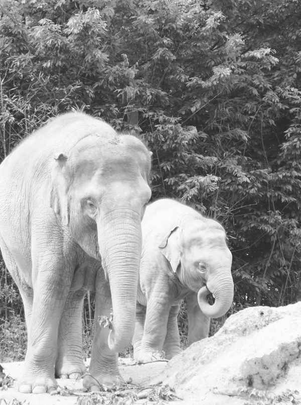 Mama ist die Beste 02