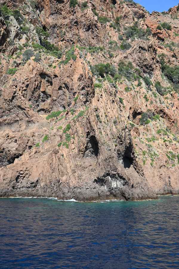 Felsen-Gesicht