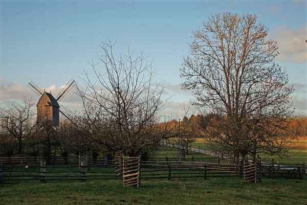 Bockwindmühle im Freilichtmuseum Detmold
