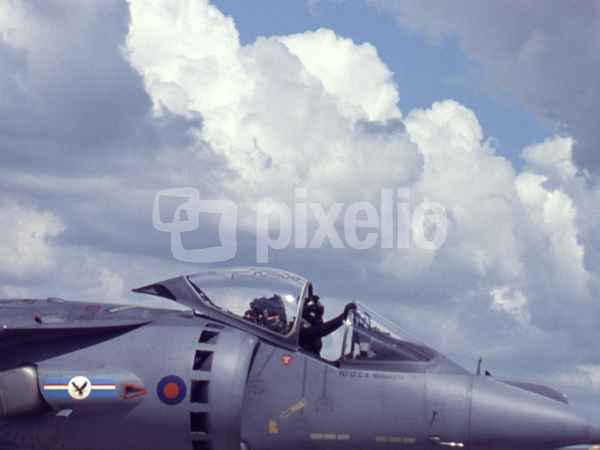 Der Pilot