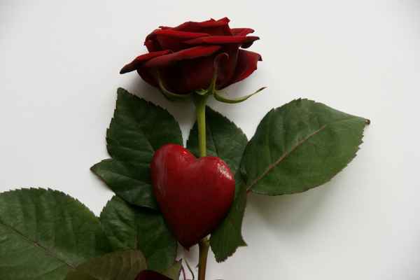 Love Love Love