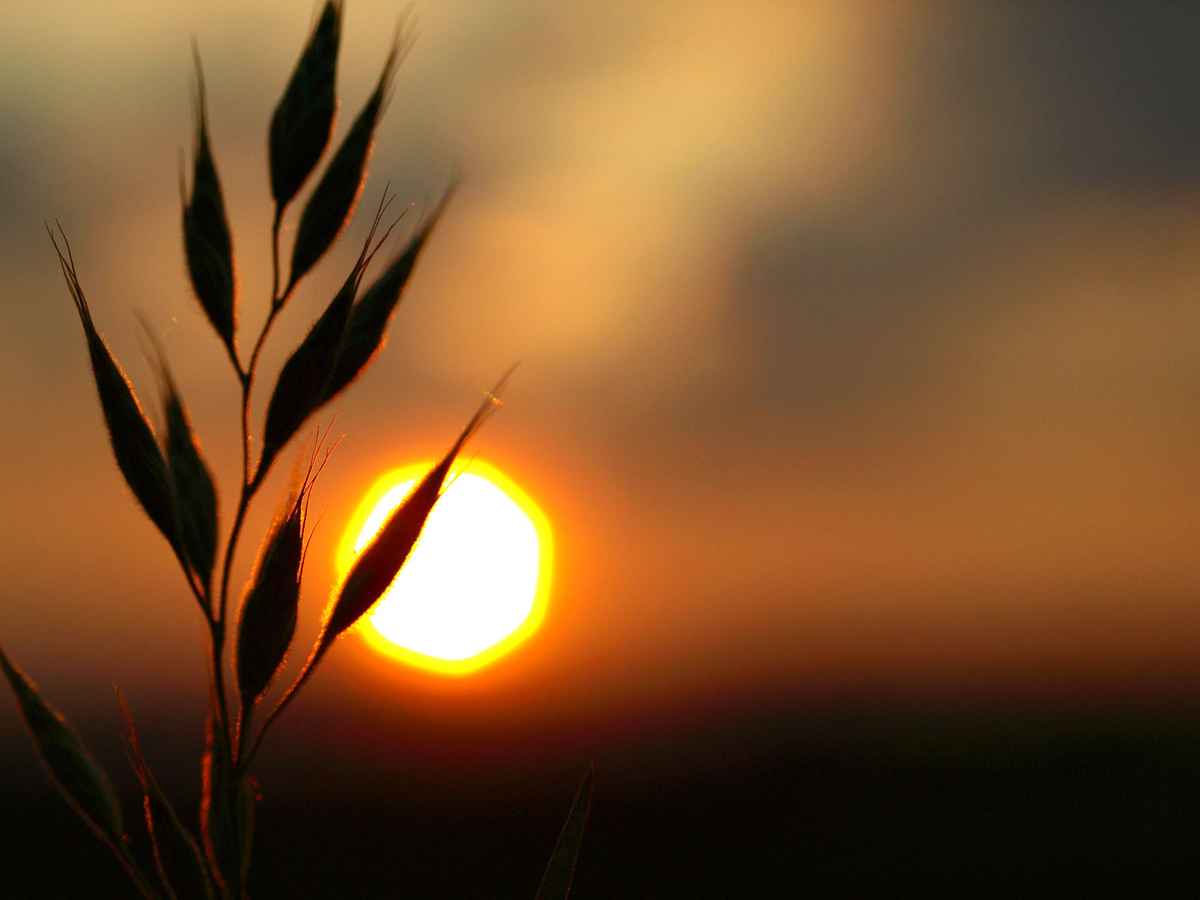 Die Sonne verabschiedet sich_2