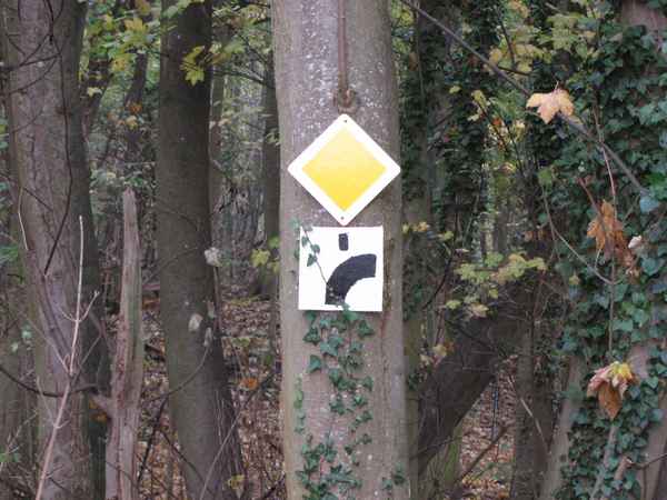 Kurios - Vorfahrt mitten im   Wald