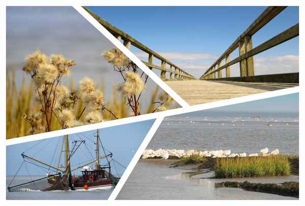 Lieblingsplatz Wattenmeer
