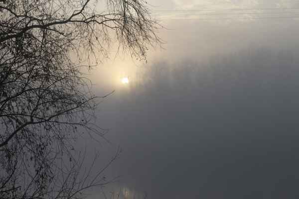 Mystische Nebellandschaft