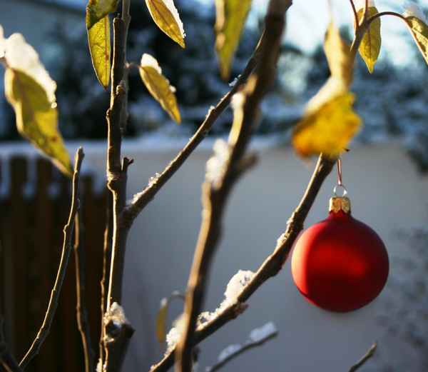 Weihnachtskugel