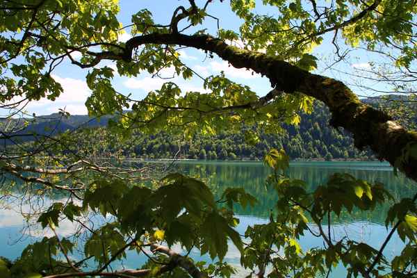 Seeblick einmal anders
