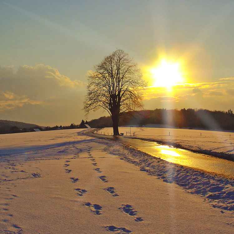 Wintersonnenwärme