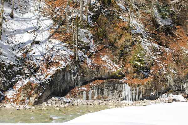 Die Partnach - ein Wildbach im Reintal 04