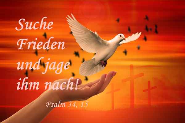 Jahreslosung 2019 - 1a