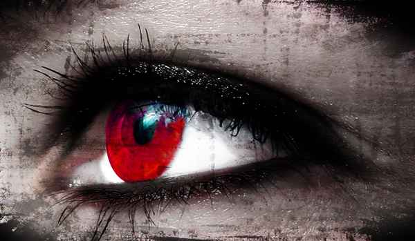 Auge
