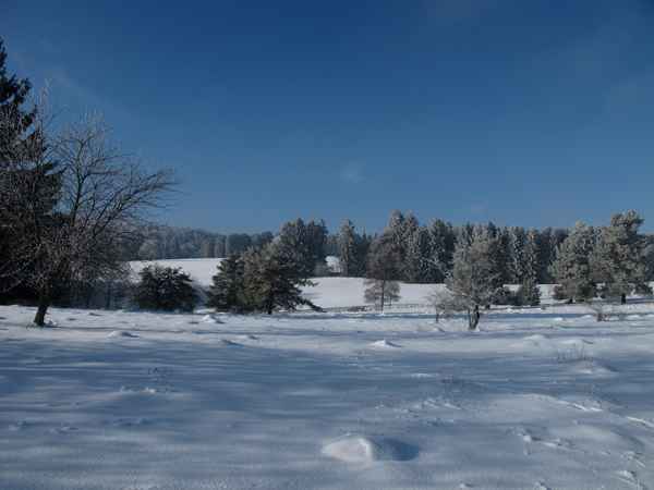 Wintermärchen