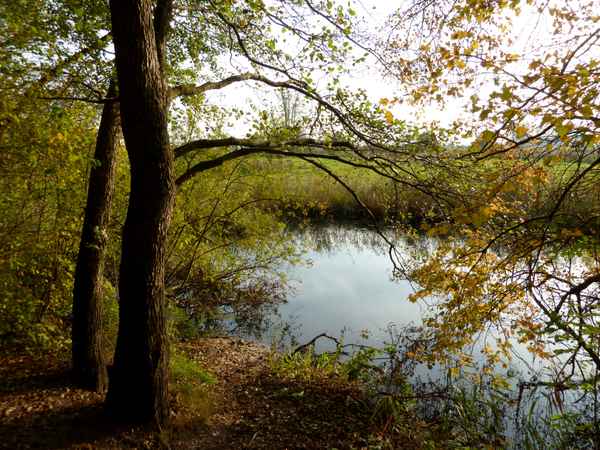 Früher Herbst an der alten Aler