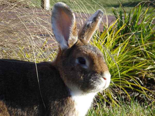 Ostern im Blick
