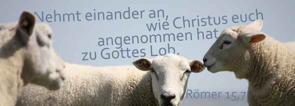 Römer 15,7