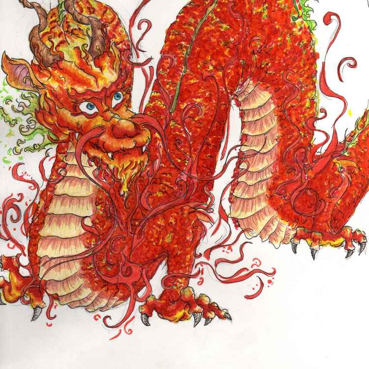 asia drache