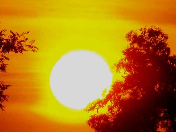 Sonne erwacht!_8