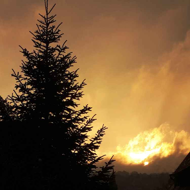 Sonnenaufgang mit verwehenden Regenwolken