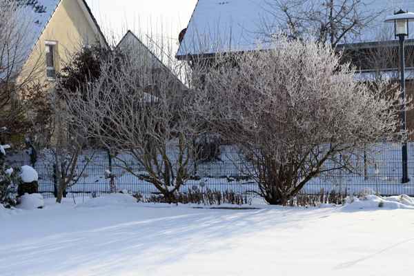 Winter in Barmstedt