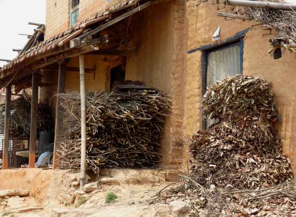 Smogursache Brennholz