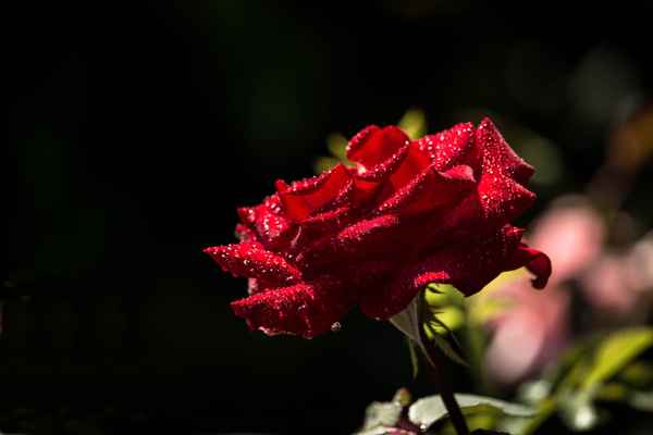 auf Regen folgt Sonnenschein