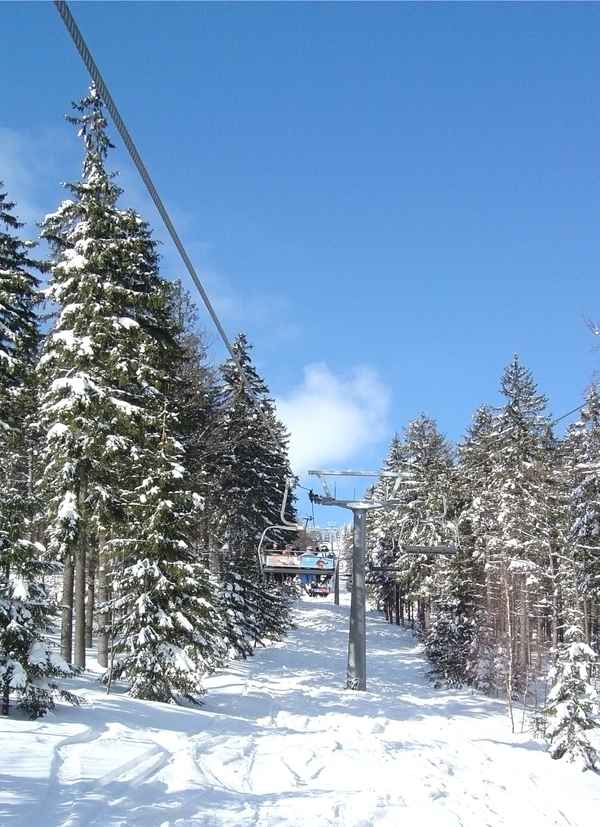 Winterwald3