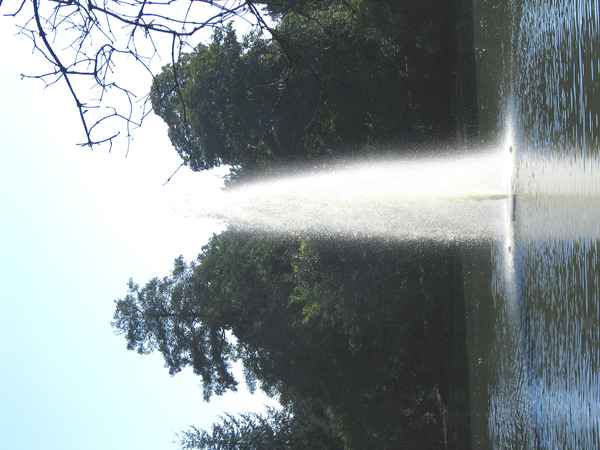 Springbrunnen
