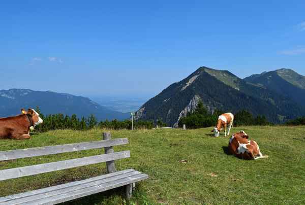 Postkarten.Idylle