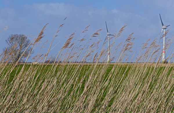 Ostfriesische Impressionen