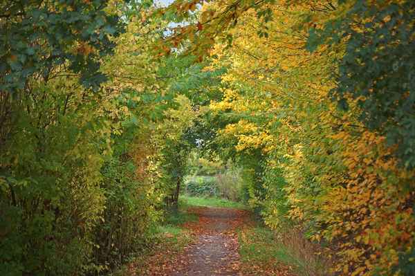 Herbstweg