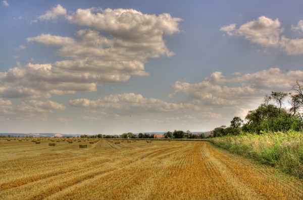 Nach der Ernte - HDR