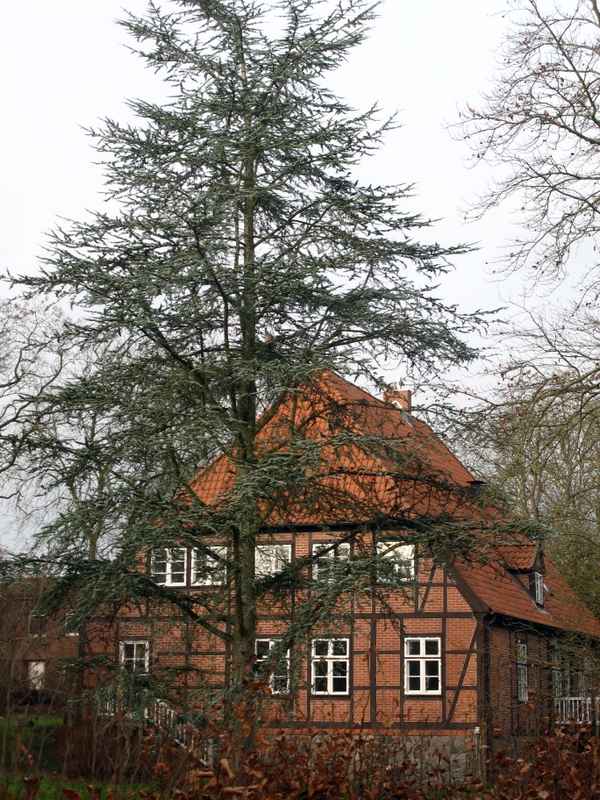 Das alte Pastorat in Reinfedl